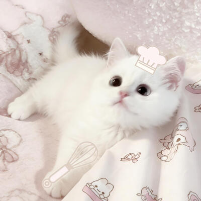 情头