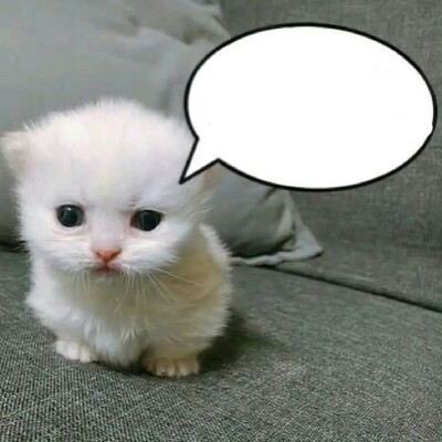 (⸝⸝⸝°-̫° ⸝⸝⸝)