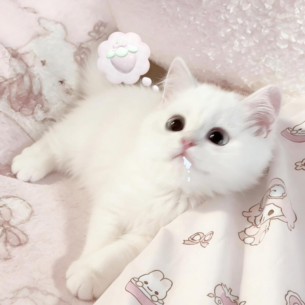 情头