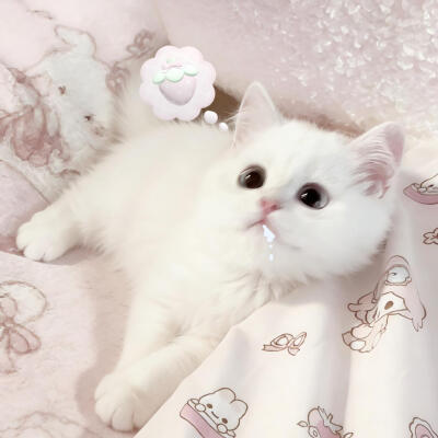 情头