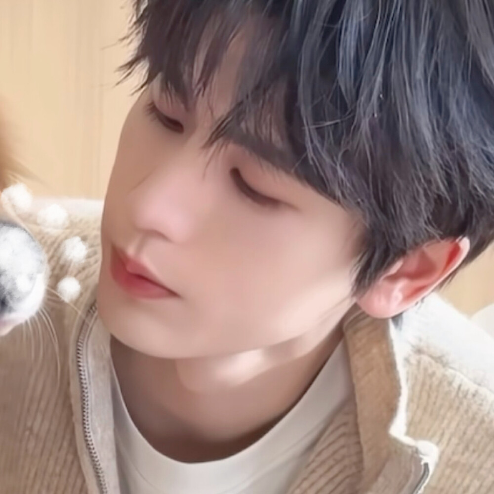 爱的巴士总是走了又停