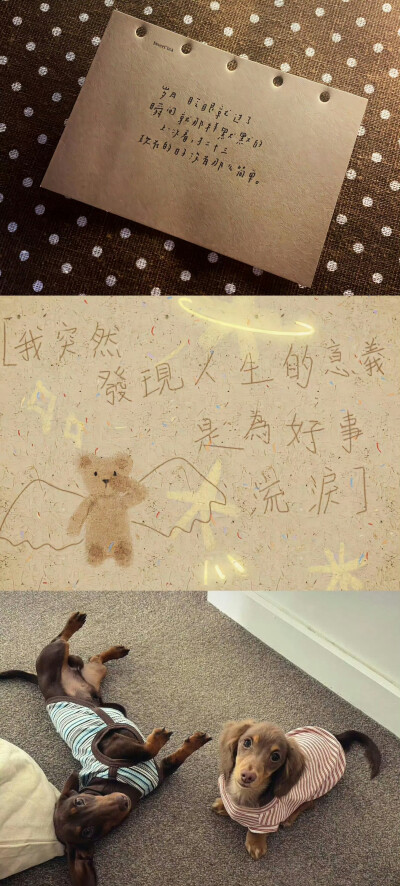 壁纸·图源微博