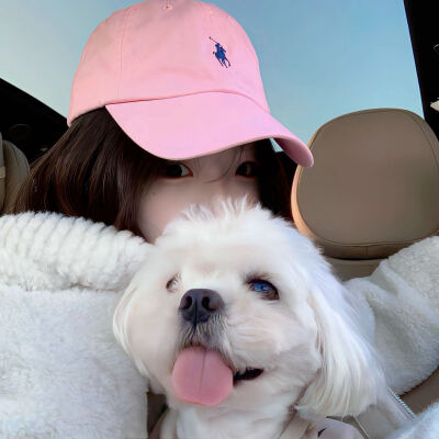 拿图点收藏加关注