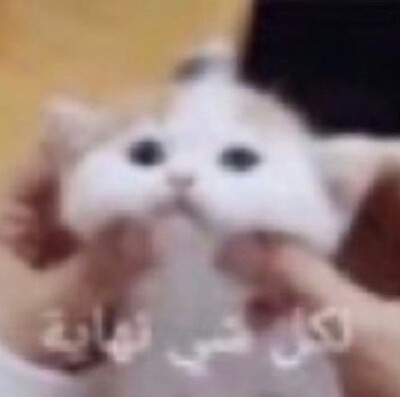 (⸝⸝⸝°-̫° ⸝⸝⸝)