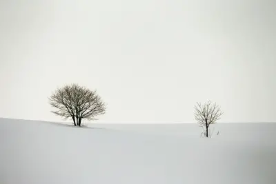 Photo by WPcoder