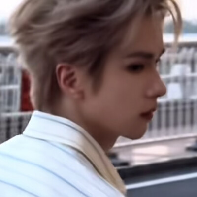 想念这个小金毛