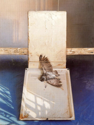 爱德华多·纳兰霍（Eduardo Naranjo，1944年-至今），是西班牙当代最著名的超现实主义画家之一，以其独特的创造力和想象力著称。自幼便展现出非凡的艺术天赋，9岁时便开始热衷于绘画和泥塑，展现了幼童的自然创造力和…