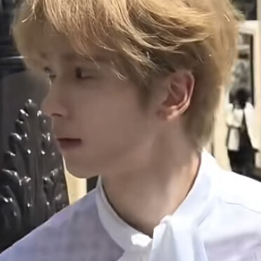 想念这个小金毛