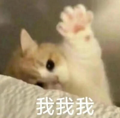 你很胖 才不是毛茸茸