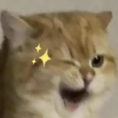 你很胖 才不是毛茸茸