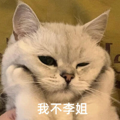 你很胖 才不是毛茸茸