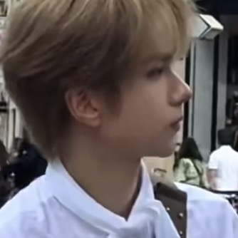 想念这个小金毛