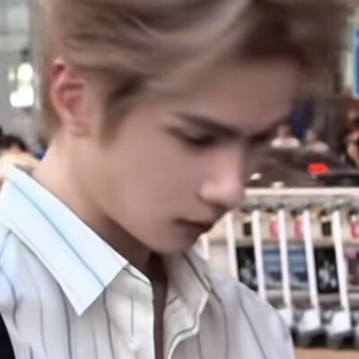 想念这个小金毛