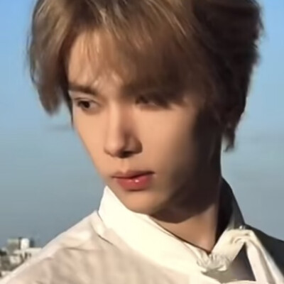 想念这个小金毛