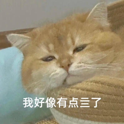 你很胖 才不是毛茸茸