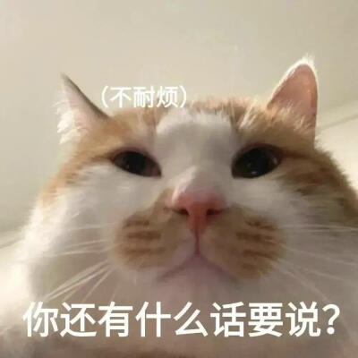 你很胖 才不是毛茸茸