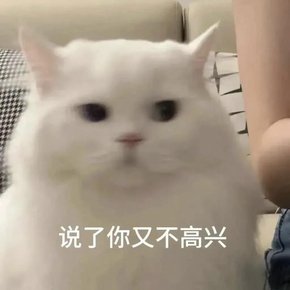 你很胖 才不是毛茸茸