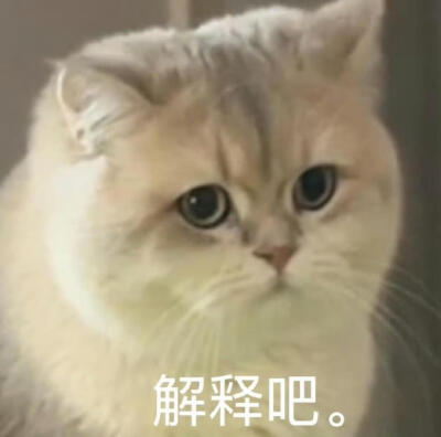 你很胖 才不是毛茸茸