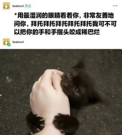 我表达爱的方式