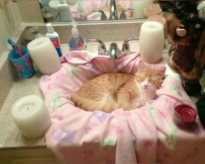 ⁽͑˙˚̀ᵕ˚́˙⁾̉