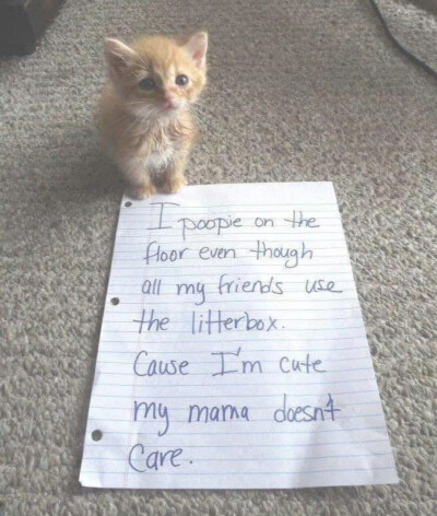 Nan//精选主页图 键盘壁纸 高清微信背景图 INS objects极简 文字 黑白 小众 氛围感 