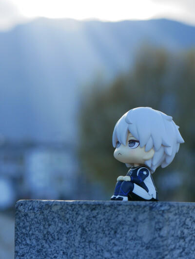 每日主题：遛崽