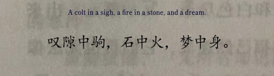 名利都如浮云变幻无常，徒然劳神费力。人的一生只不过像快马驰过缝隙，像击石进出一闪即灭的火花，像在梦境中短暂的经历一样短暂。