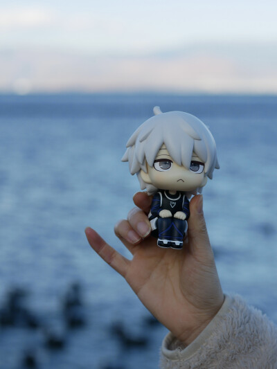 每日主题：遛崽