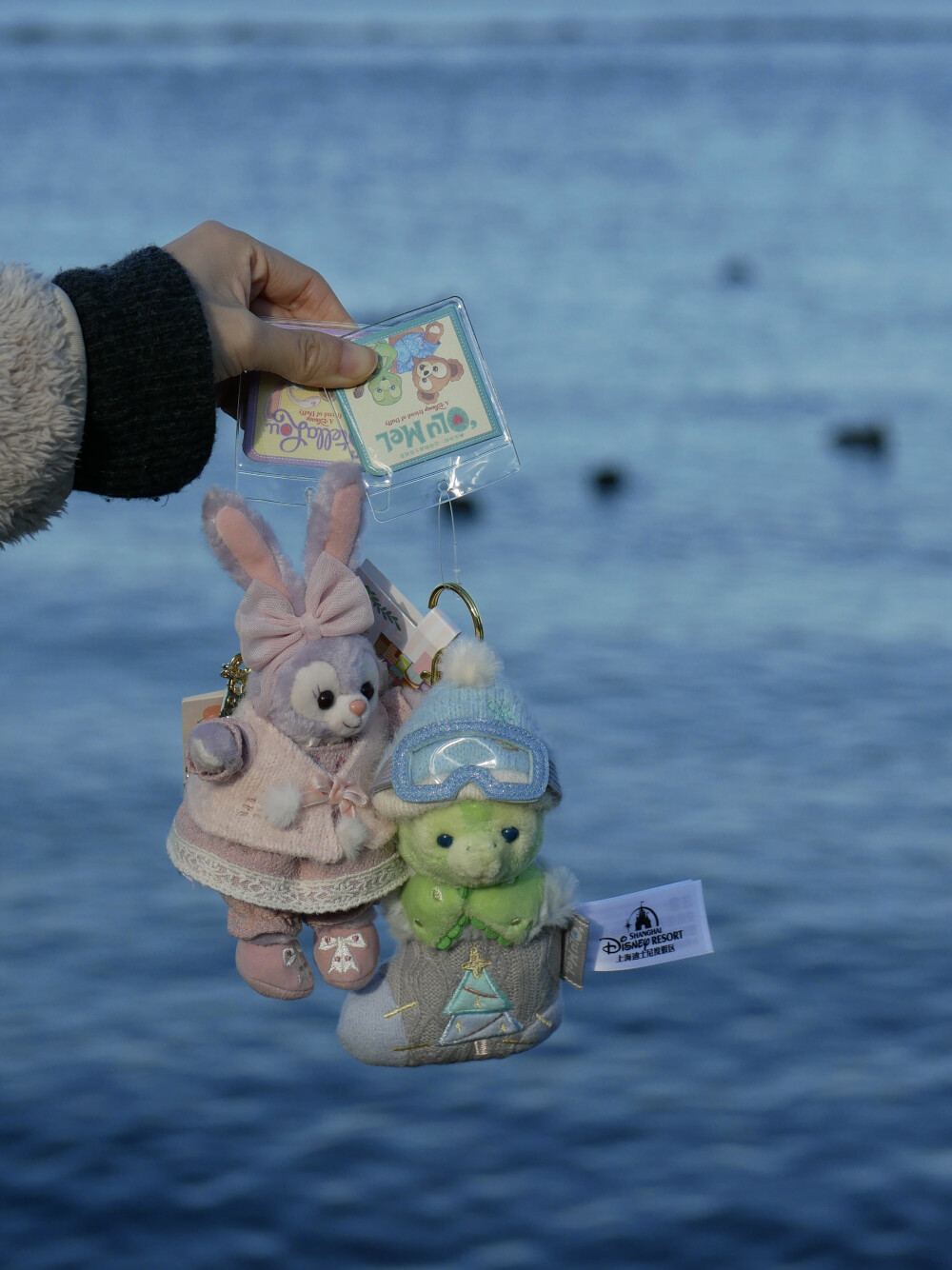 每日主题：遛崽