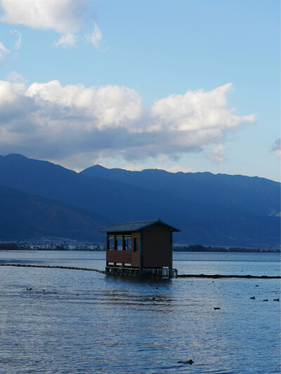 每日主题：遛崽