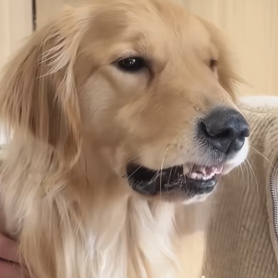 我要和对象换情头