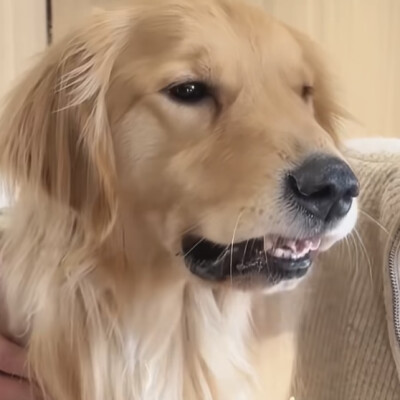 我要和对象换情头