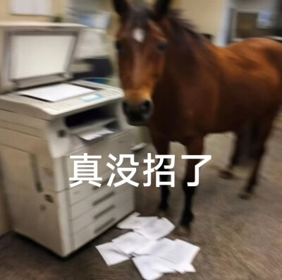 牛马人都看看ʕ⊝⍛⊝ʔ**