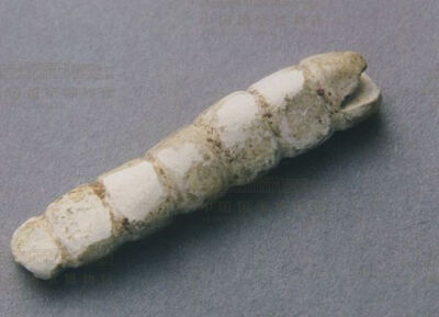 商代 玉蚕 中国国家博物馆藏