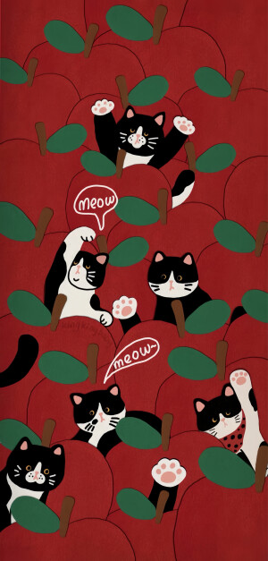 红色猫