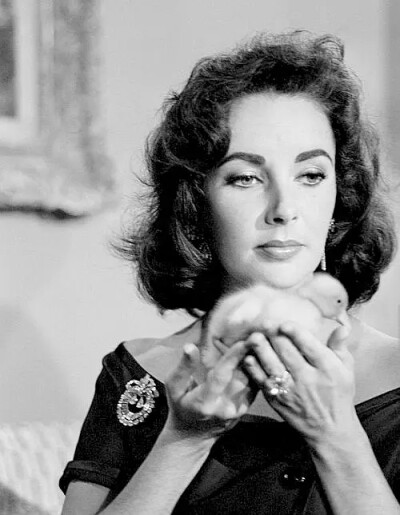 Elizabeth Taylor ​​​