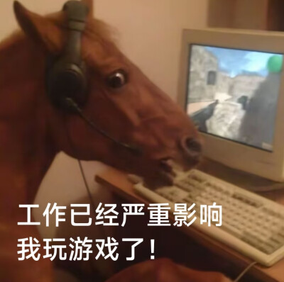 牛马人都看看ʕ⊝⍛⊝ʔ**