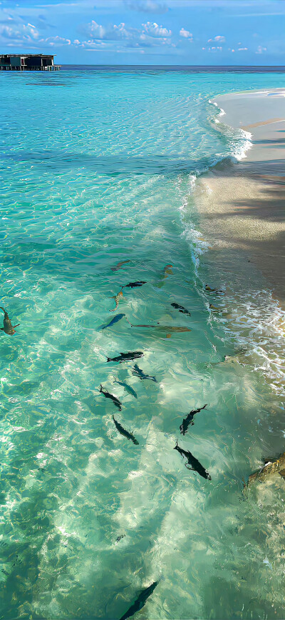 壁纸·图源微博