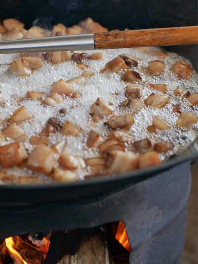 小伙伴特别邀请一年一度杀猪菜
天光吃到天黑从杀死猪猪到吃掉猪猪不超过两小时超级新鲜超级原味的烤猪猪
吃到翻白眼然后再吃席
大理的南涧山头冬樱飞舞小狗跳跃
江山辽阔绝美我大中华