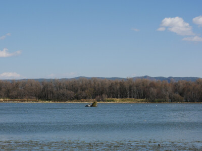 还珠格格没骗我们
大理“四季如春”“家家有水户户有花”