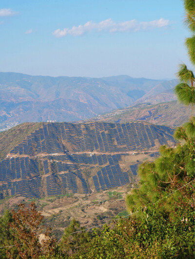 小伙伴特别邀请一年一度杀猪菜
天光吃到天黑从杀死猪猪到吃掉猪猪不超过两小时超级新鲜超级原味的烤猪猪
吃到翻白眼然后再吃席
大理的南涧山头冬樱飞舞小狗跳跃
江山辽阔绝美我大中华