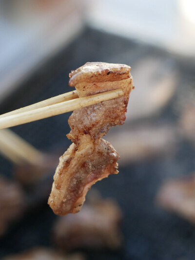 小伙伴特别邀请一年一度杀猪菜
天光吃到天黑从杀死猪猪到吃掉猪猪不超过两小时超级新鲜超级原味的烤猪猪
吃到翻白眼然后再吃席
大理的南涧山头冬樱飞舞小狗跳跃
江山辽阔绝美我大中华