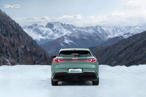 比亚迪汽车海洋系列