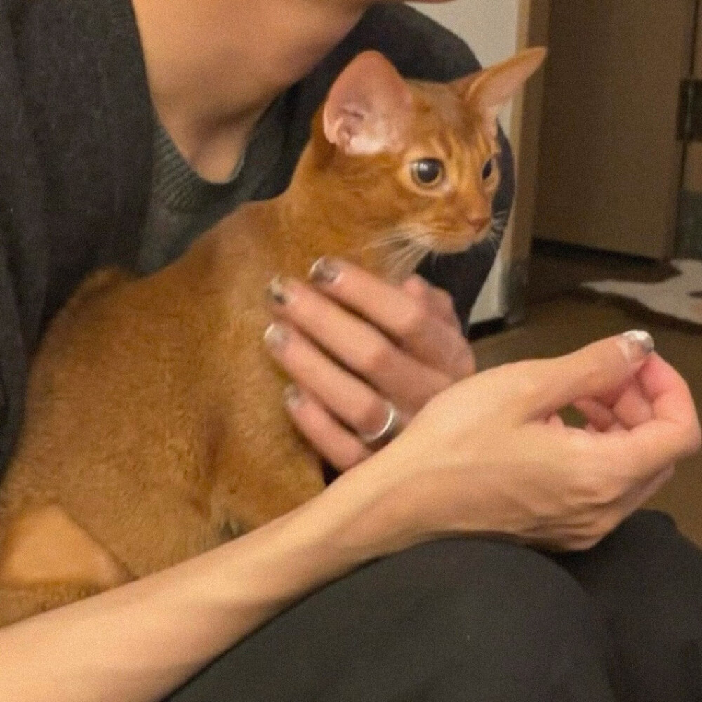 男生头像#对了就庆祝错了就进步