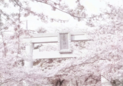 ꉂ ᳐˶ᵒ ᵕ ˂˶ ᳐