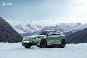 比亚迪汽车海洋系列