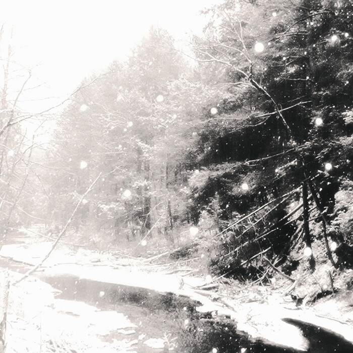 茉莉雪季的尾调是你浅淡的瞳色