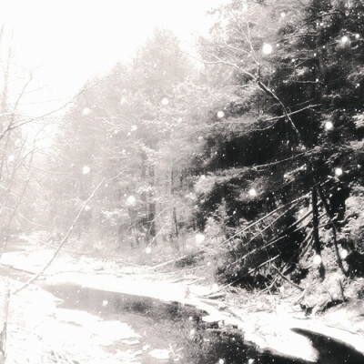 茉莉雪季的尾调是你浅淡的瞳色