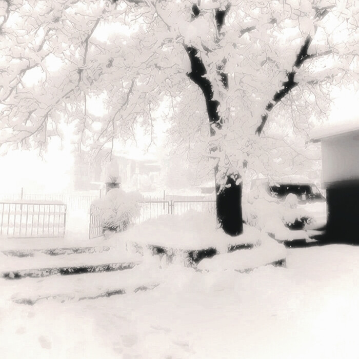 茉莉雪季的尾调是你浅淡的瞳色