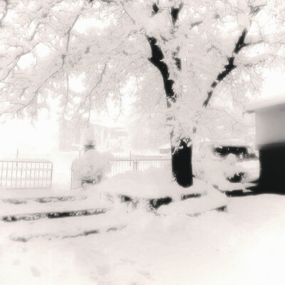 茉莉雪季的尾调是你浅淡的瞳色